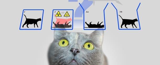 Amazon’s New Quantum Computer Design Relies On Tiny Schrödinger’s Cats