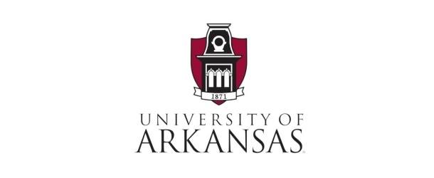 NSF Grant Aids U of Arkansas Research Efforts to Develop Quantum Technology