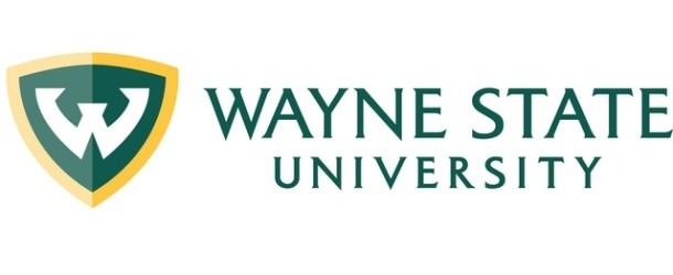 Wayne State Researcher Awarded $3.3 Million From DOE to Advance Quantum Science and Technology