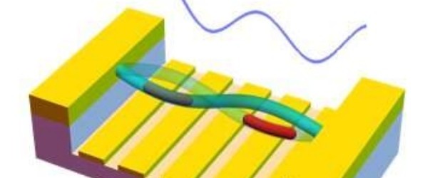 Are Carbon Nanotubes New Viable Means of Storing Information for Quantum Technologies?