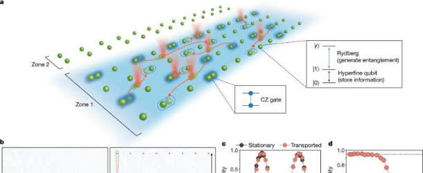 Two teams use neutral atoms to create quantum circuits