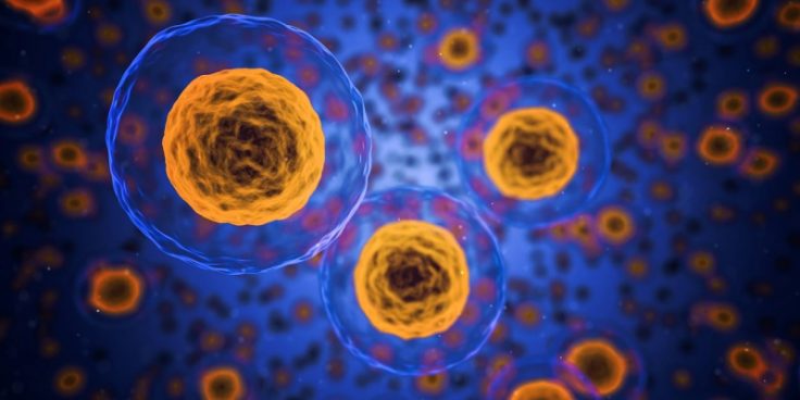 Legitimizing the Field of Quantum Biology: An Interview with Dr ...
