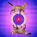 Cat qubits use superposition to compute difficult functions in quantum computing. Alice & Bob have new advancements in these systems.
