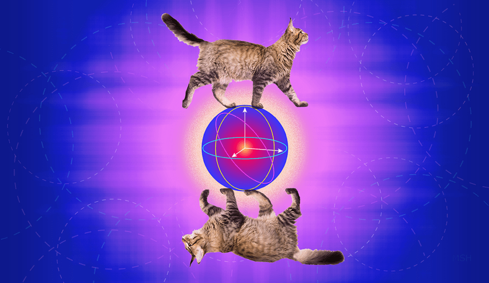 Cat qubits use superposition to compute difficult functions in quantum computing. Alice & Bob have new advancements in these systems.