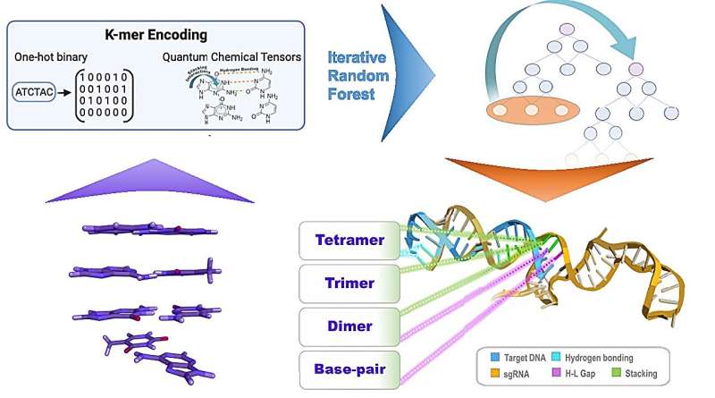 Researchers at Oak Ridge National Laboratory (ORNL) have harnessed quantum biology and AI to improve gene editing tools.